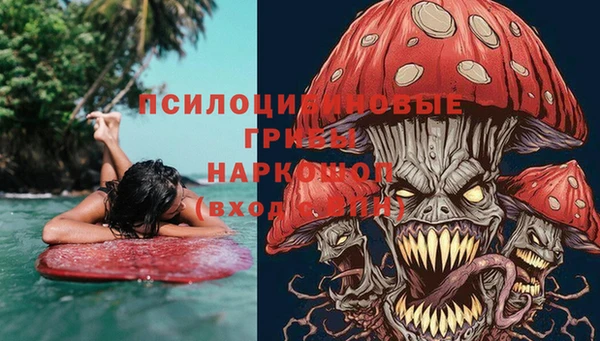ПСИЛОЦИБИНОВЫЕ ГРИБЫ Вязники