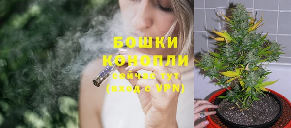 гидра Горнозаводск