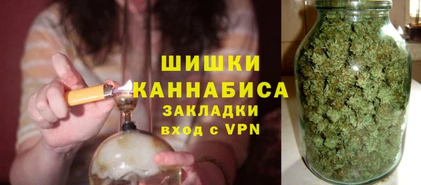 гидра Горнозаводск