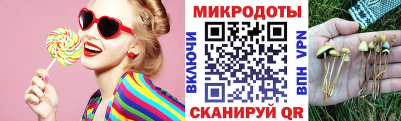 Псилоцибиновые грибы прущие грибы  купить   нарко площадка официальный сайт  Петровск  OMG зеркало 